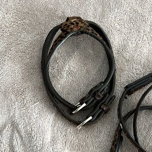 Cheetah style leash and harness